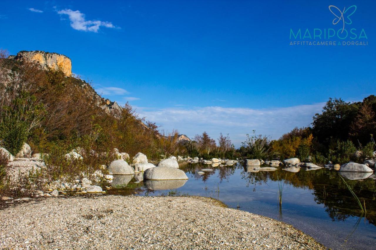 Affittacamere Mariposa Dorgali Esterno foto