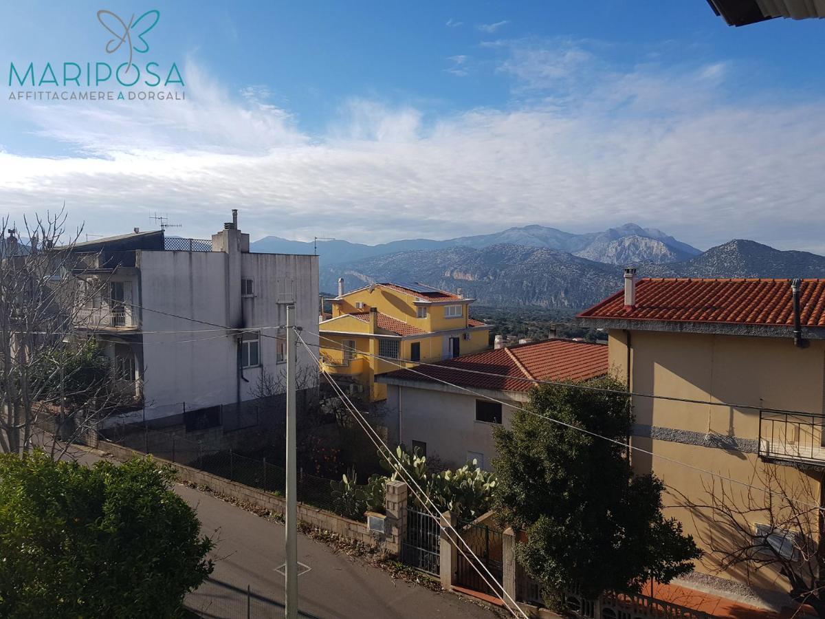 Affittacamere Mariposa Dorgali Esterno foto